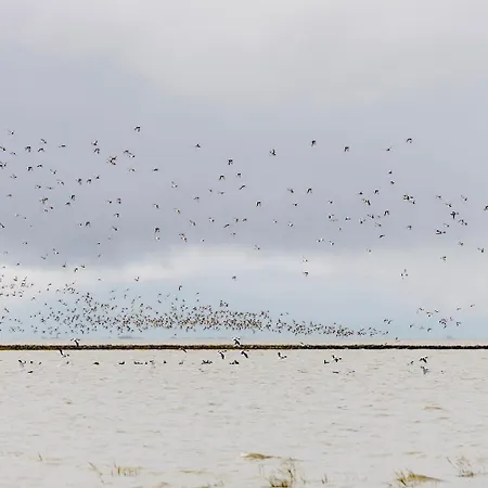 Haus Kuestenkoerbchen