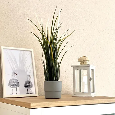 펜션 Haus Kuestenkoerbchen 도룸 노이펠트