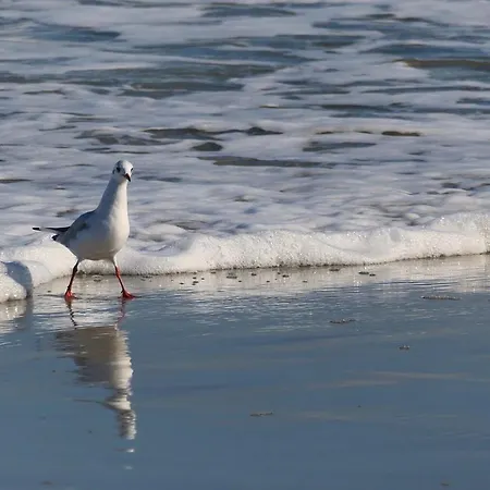 Haus Kuestenkoerbchen 펜션