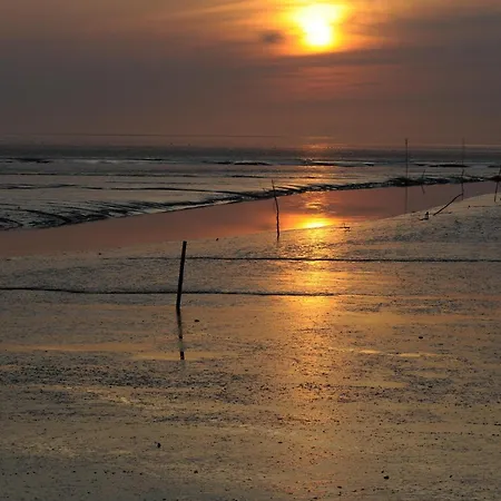 Haus Kuestenkoerbchen