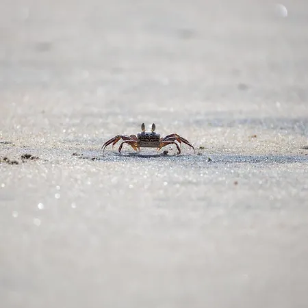 Haus Kuestenkoerbchen
