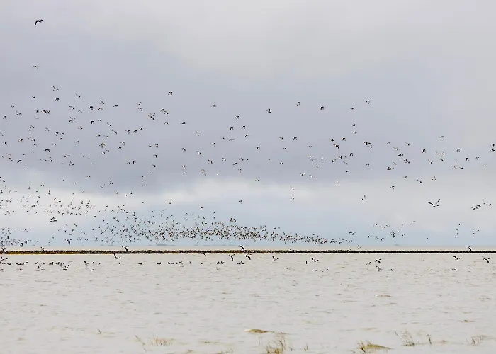 Haus Kuestenkoerbchen