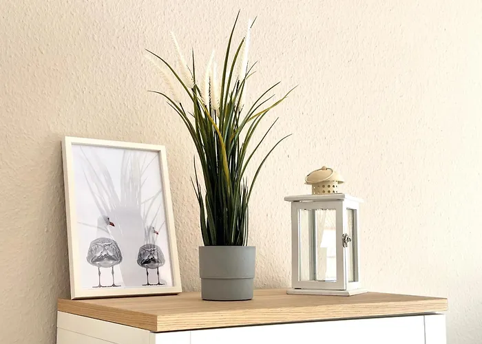 بيت للعطل Haus Kuestenkoerbchen دورم نيوفيلد