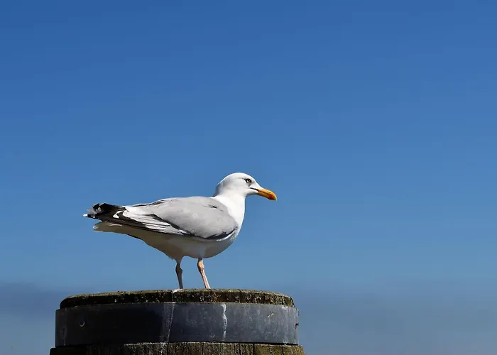Haus Kuestenkoerbchen بيت للعطل *