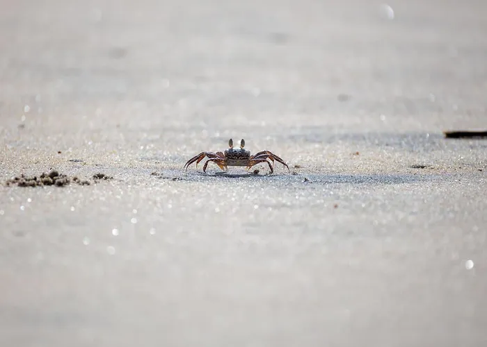 Haus Kuestenkoerbchen